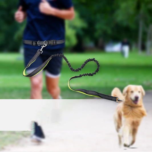 取り外し可能ショック吸収リード付き犬用散歩ベルト